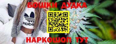 сатива Волгодонск