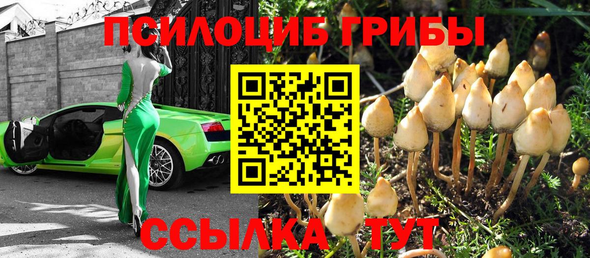 Псилоцибиновые грибы GOLDEN TEACHER  Вход с VPN  Черкесск 